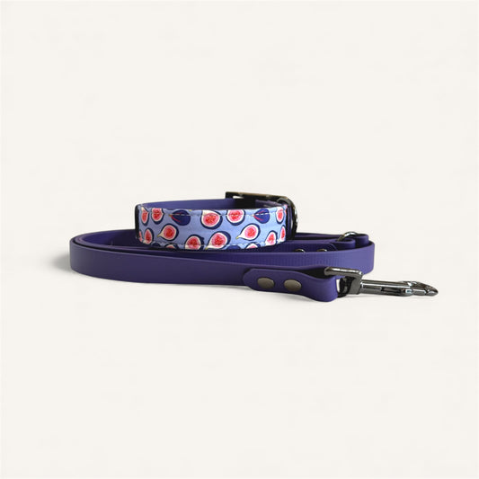 Standard Leash - Violet