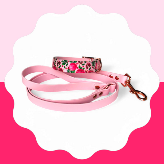 Why Choose BioThane Over Nylon or Leather?