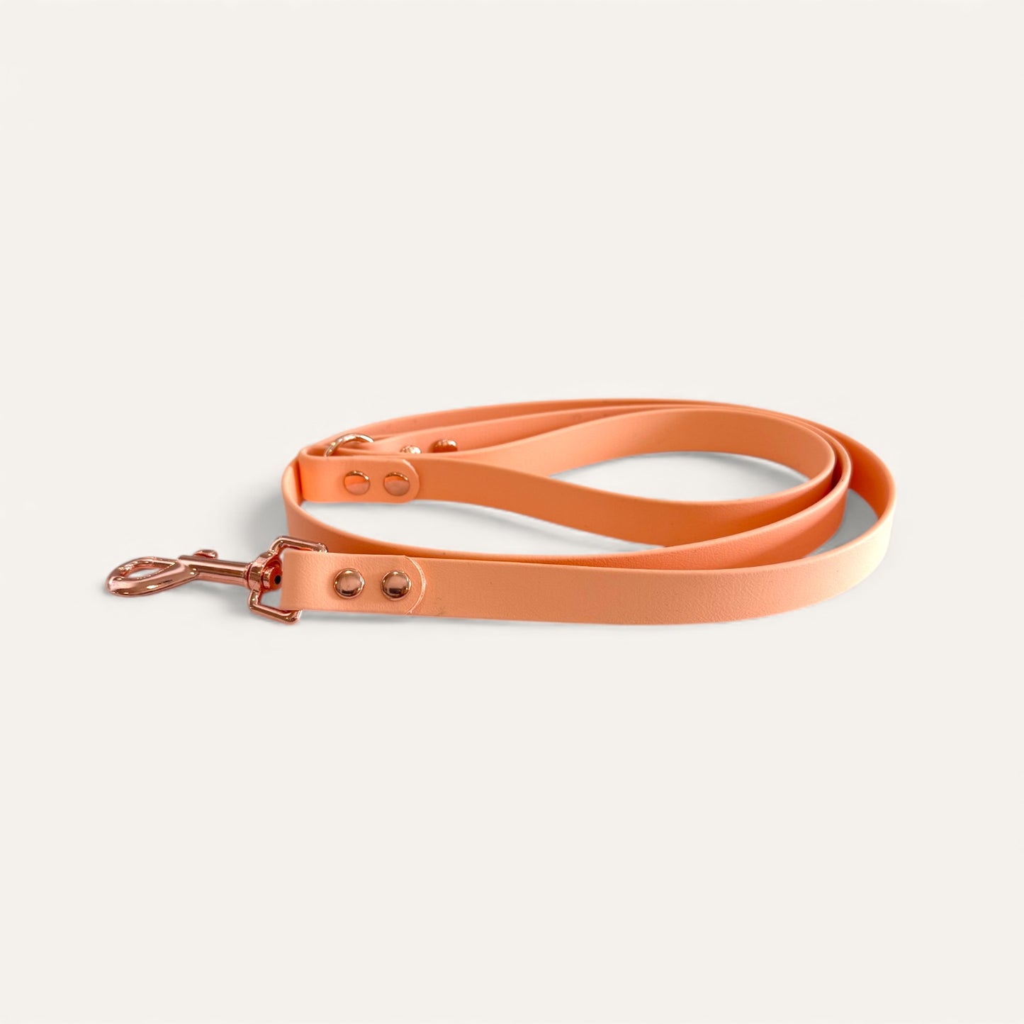 Standard Leash - Pastel Peach