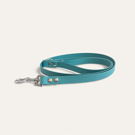 Standard Leash - Dusty Turquoise