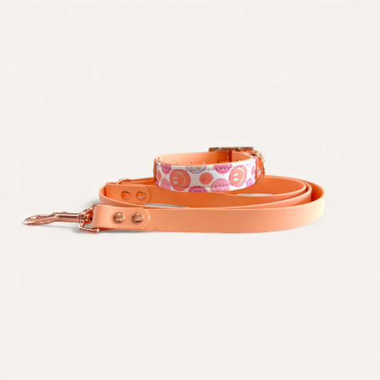 Standard Leash - Pastel Peach