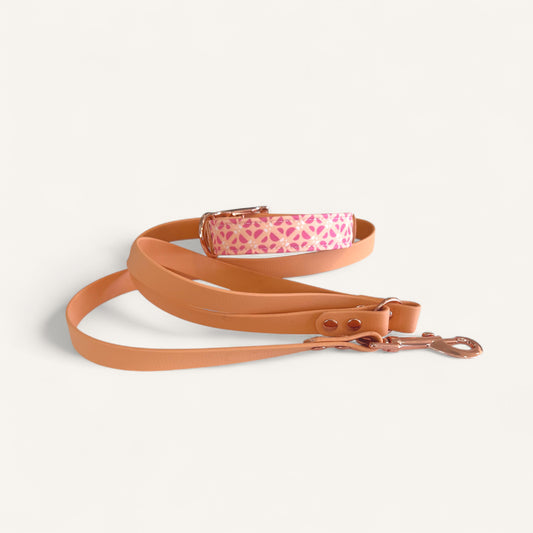 Standard Leash - Copper Galmour