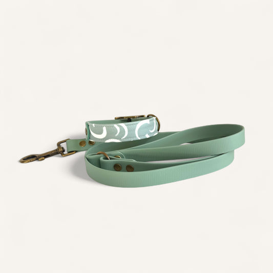 Standard Leash - Sage Green