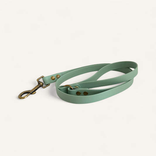 Standard Leash - Sage Green