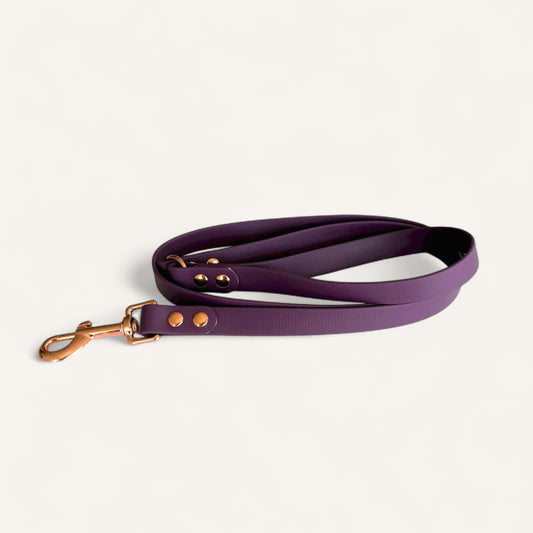 Standard Leash - Aubergine