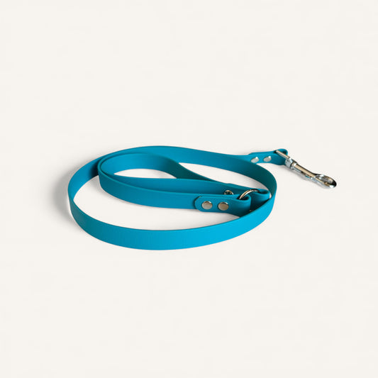 Standard Leash - Lagune