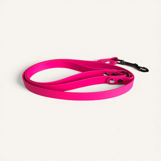 Standard Leash - Passion Pink