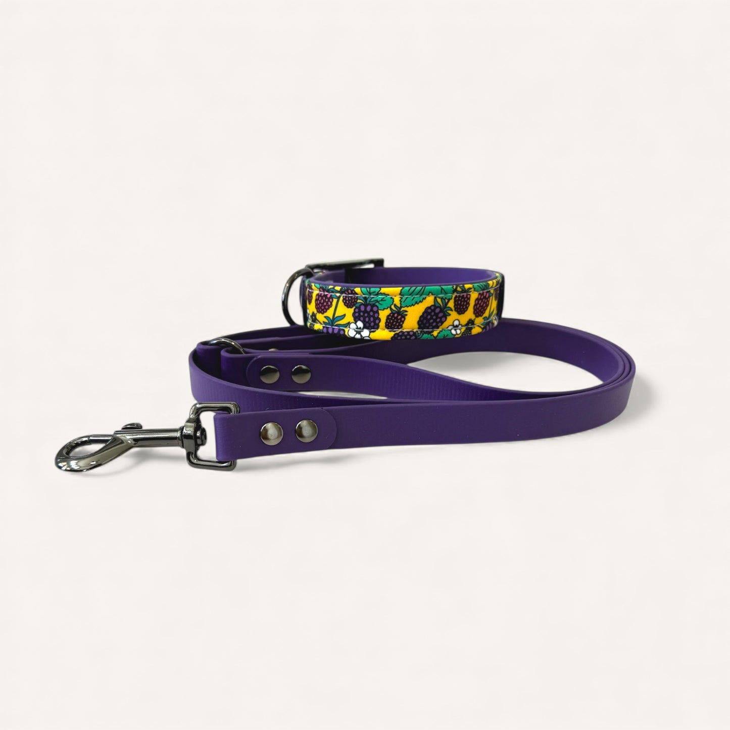 Standard Leash - Violet