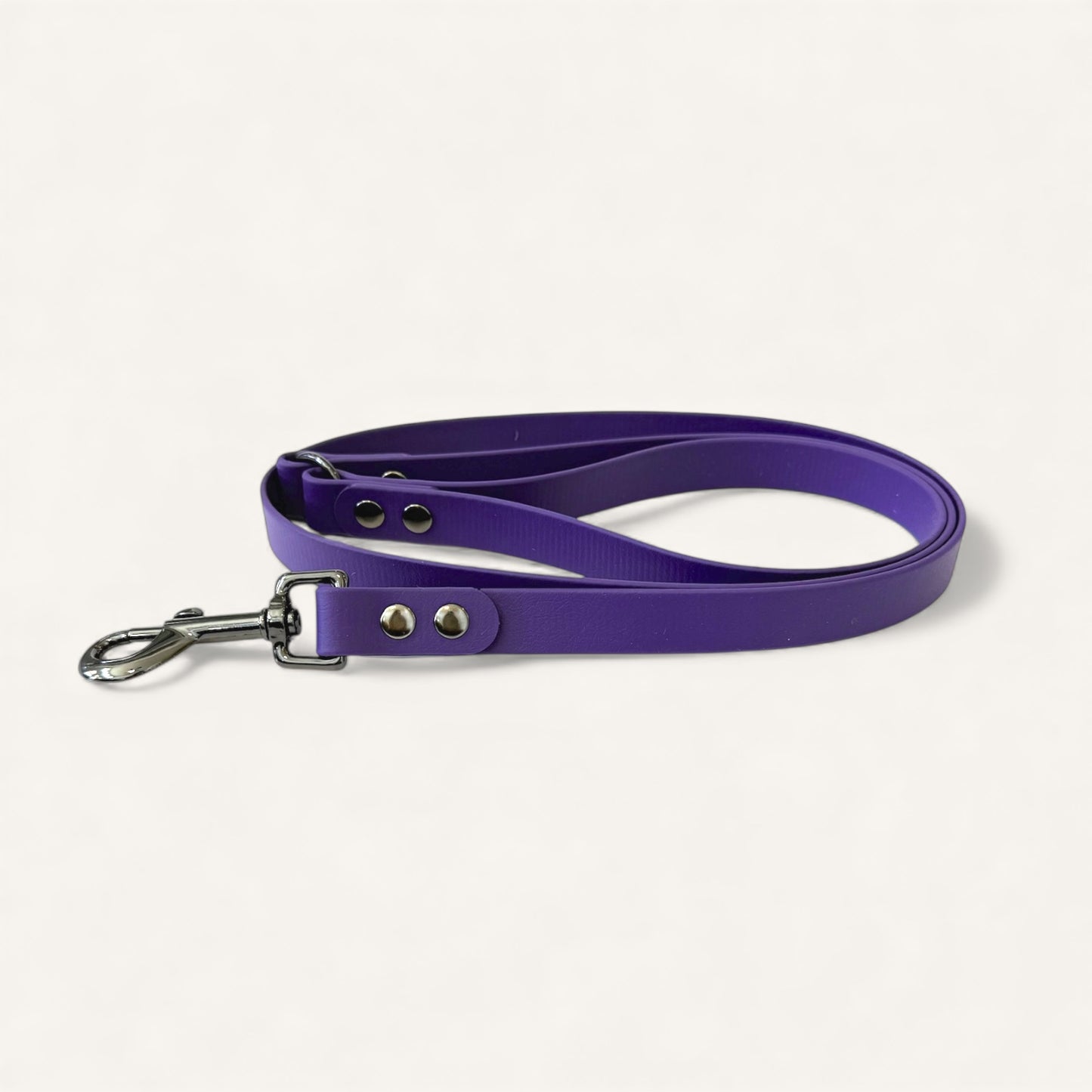 Standard Leash - Violet