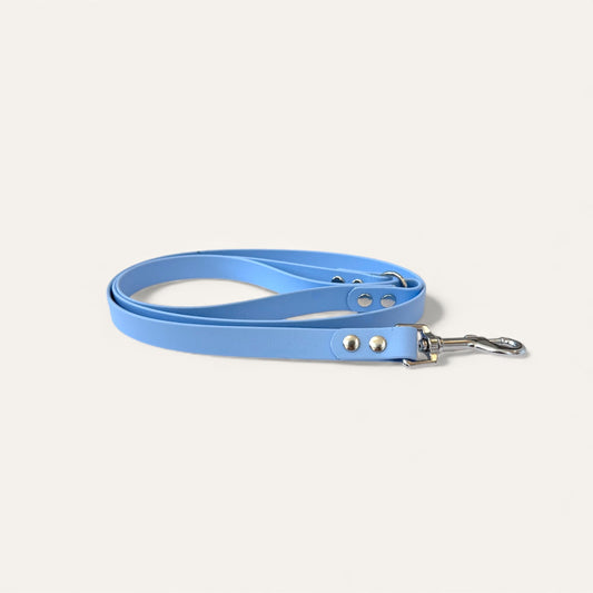 Standard Leash - Polar Blue