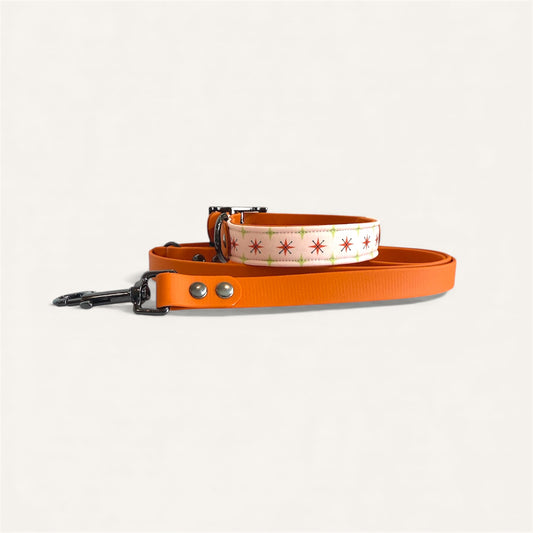 Standard Leash - Burnt Orange