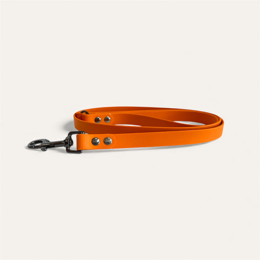 Standard Leash - Burnt Orange
