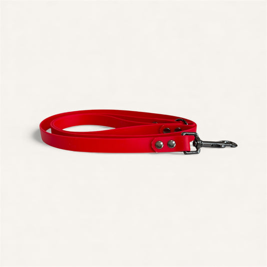 Standard Leash - Red